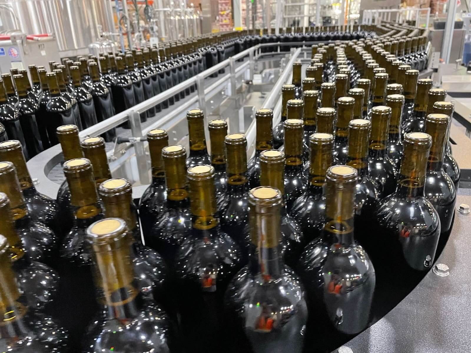 Conveyor equipment for canning & bottling