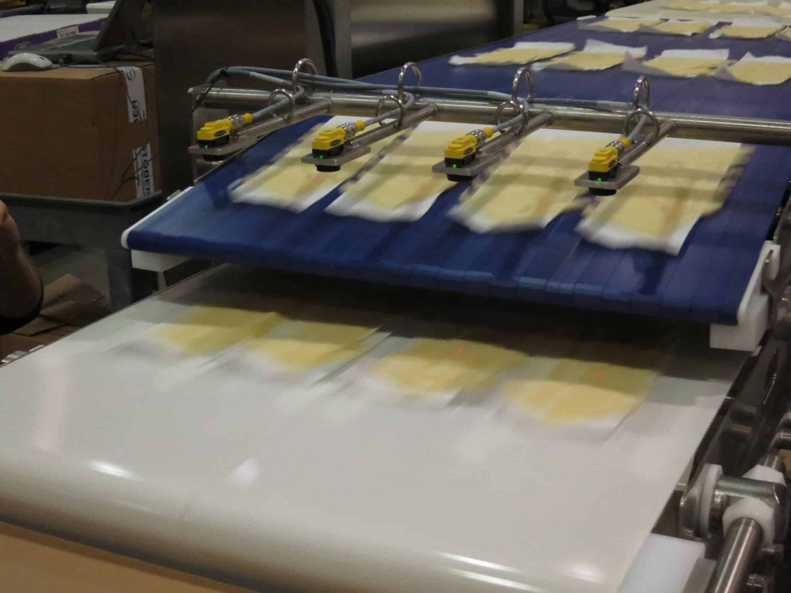 Conveyor equipment for dairy & cheese