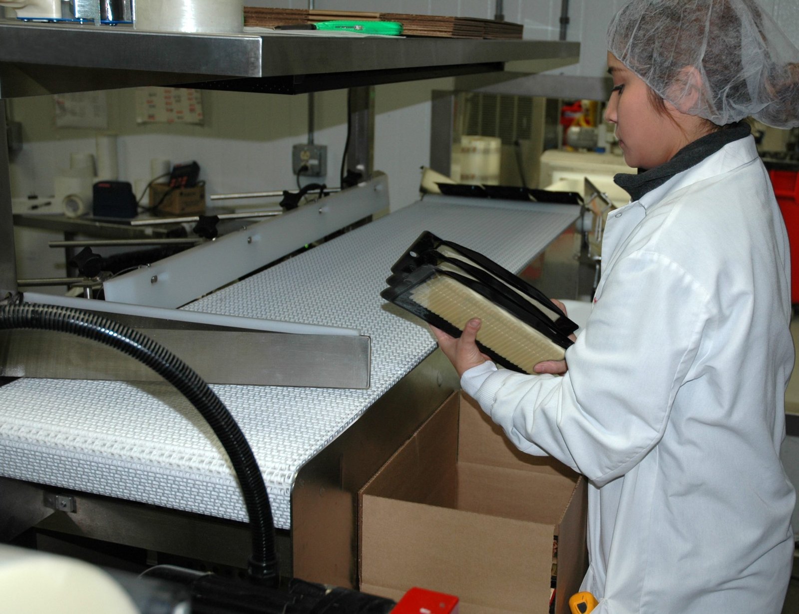 Conveyor equipment for food processing