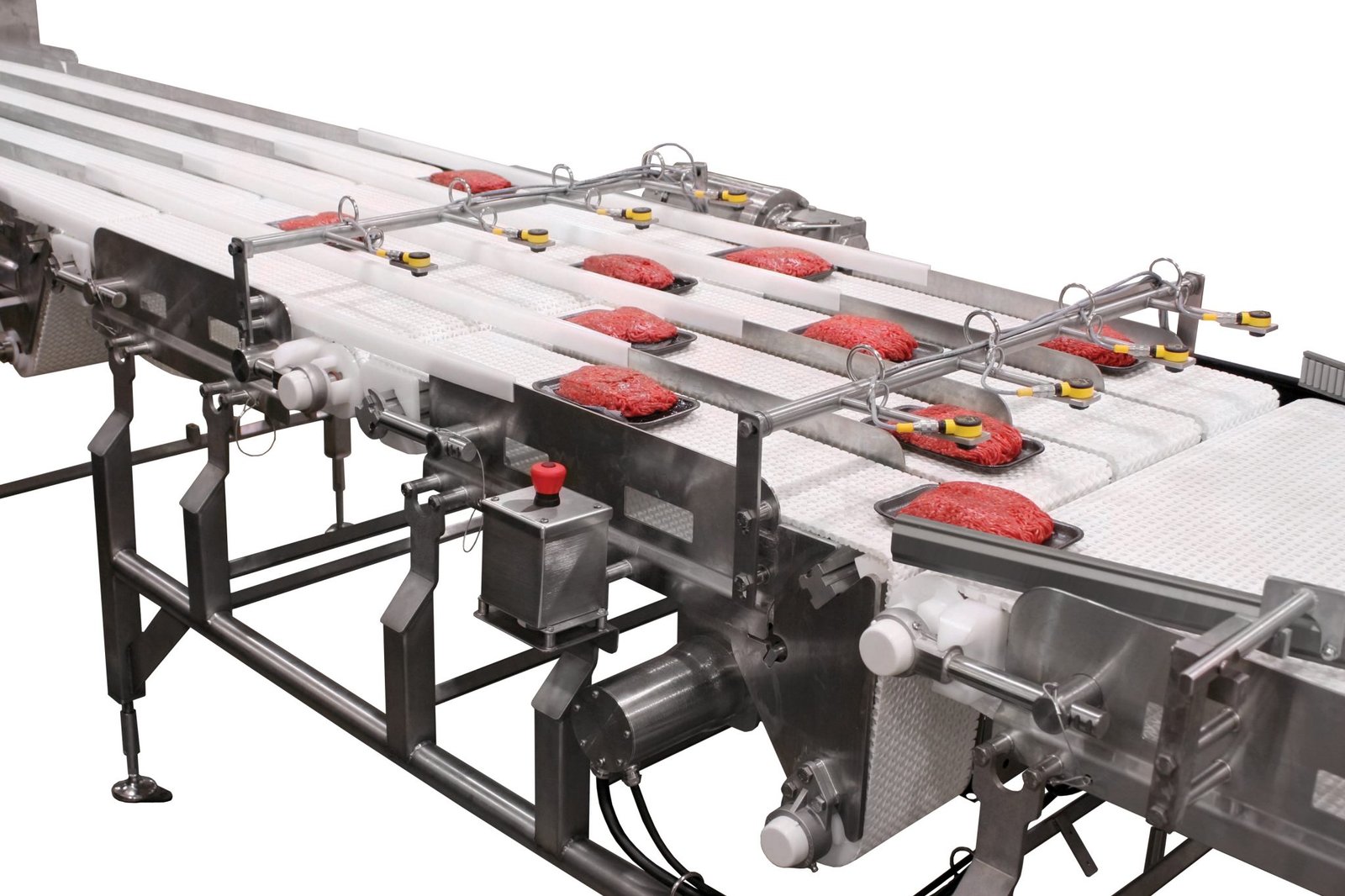 Conveyor equipment for meat & poultry