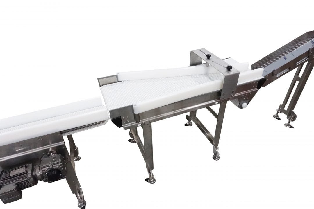 Custom sanitary conveyor system