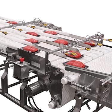 Sanitary conveyor transferring meat products