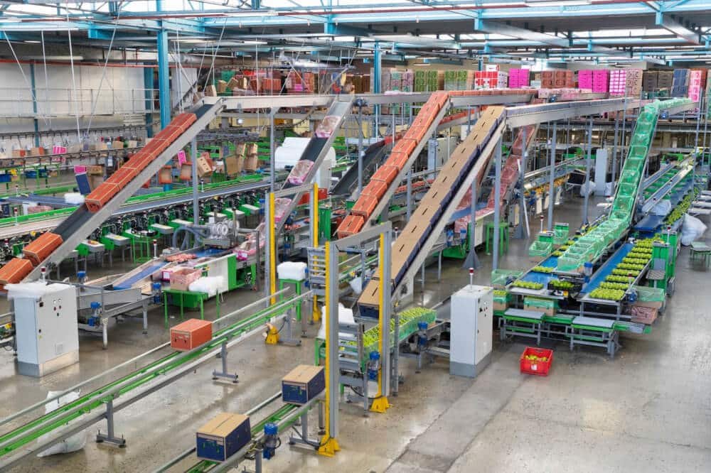 Automated distribution center with conveyor systems